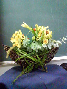 桌上盆花4-1