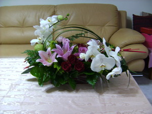 桌上盆花7-2